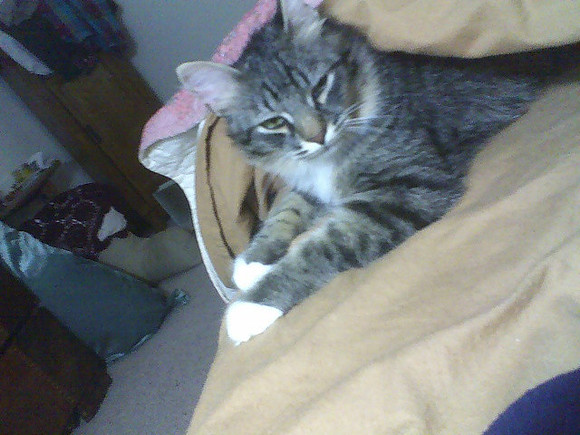 Xmas Hiding Out