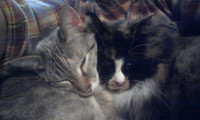 Lilly & Asia