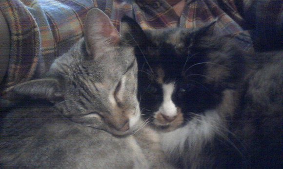 Lilly & Asia