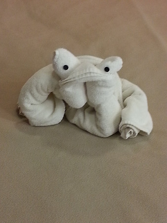Second nights Towel animal was a cute frog