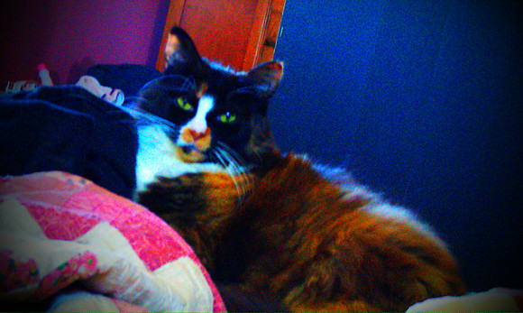 Lilly In Color