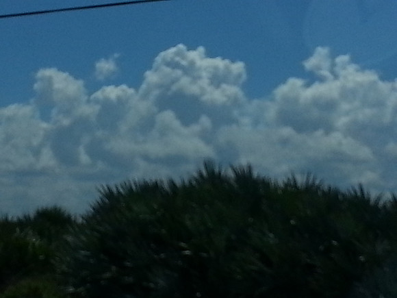 Florida Skyline