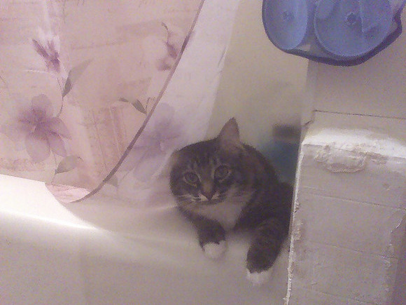 Xmas In The Tub Two