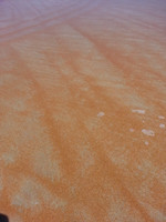 The movement of the sand on the beach was amazing and left these great patterns