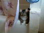 Sneaky Xmas In The Tub