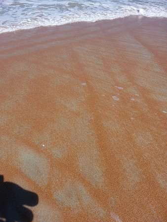 The movement of the sand on the beach was amazing and left these great patterns