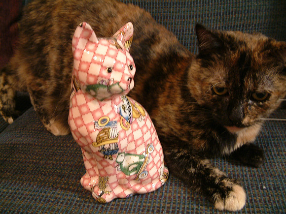 Shell Cat & Friend