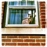 Asia Standing Guard