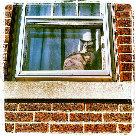 Asia Standing Guard